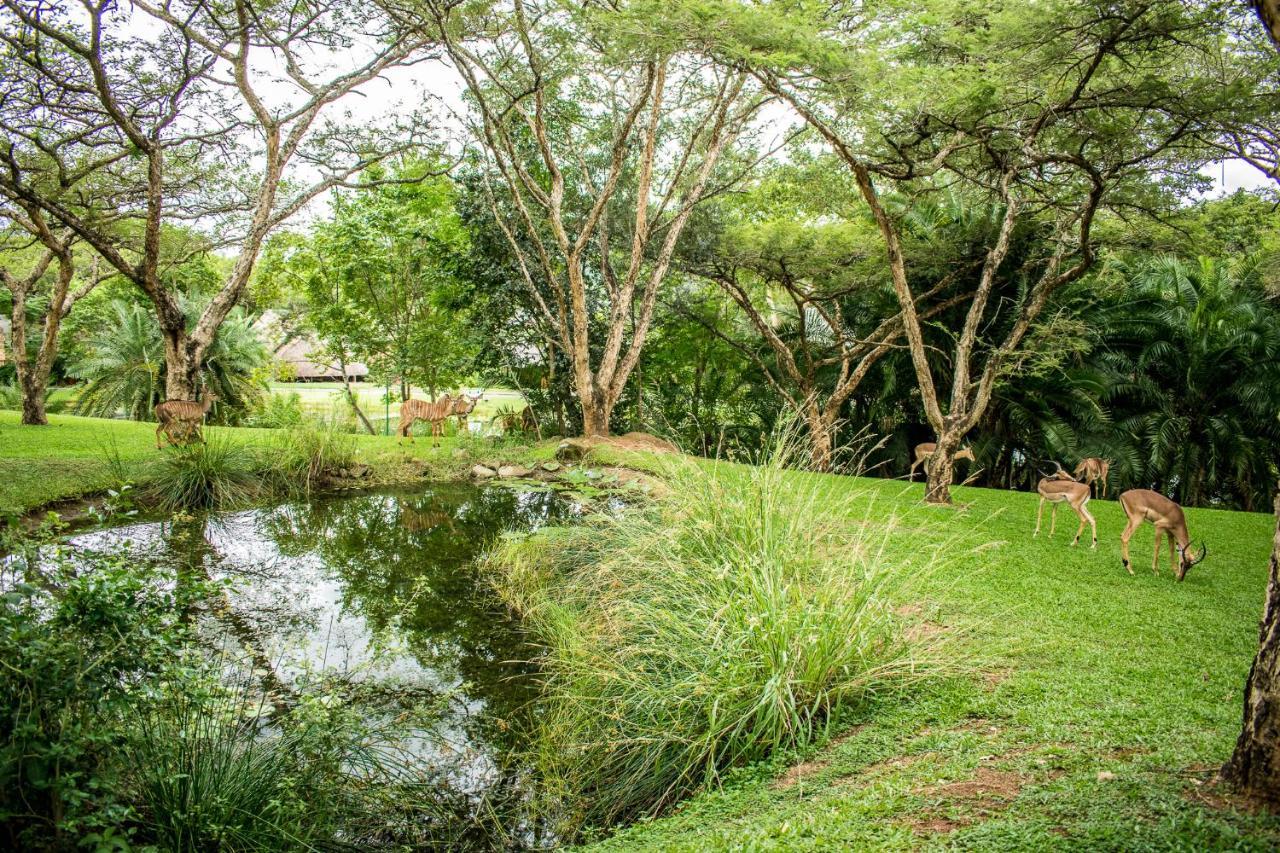 Inyamatane Luxury At Kruger Park Hazyview