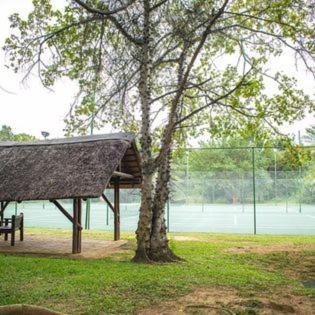 Inyamatane Luxury At Kruger Park Hazyview